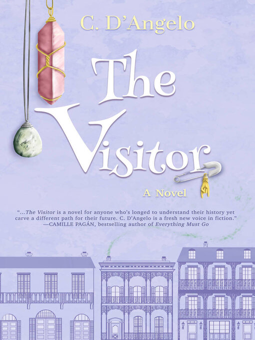 Cover image for The Visitor